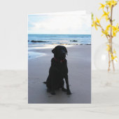 Schwarzes Labrador auf einem Strand Karte (Gelbe Blume)
