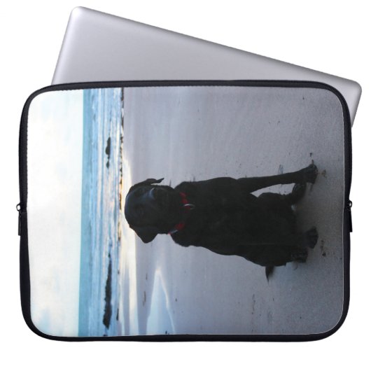 Schwarzes Labrador auf einem Strand Laptopschutzhülle (Vorderseite)