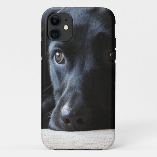 Schwarzes Labrador Case-Mate iPhone Hülle (Rückseite)