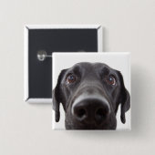 Schwarzes Labrador Closeup-Portrait Button (Vorne & Hinten)