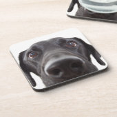 Schwarzes Labrador Closeup-Portrait Getränkeuntersetzer (Linke Seite)