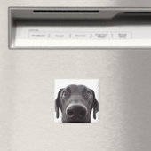 Schwarzes Labrador Closeup-Portrait Magnet (In Situ (Geschirrspüler))
