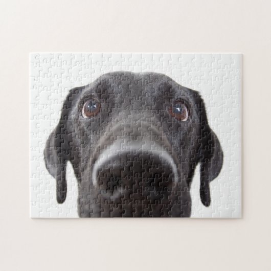 Schwarzes Labrador Closeup-Portrait Puzzle (Horizontal)