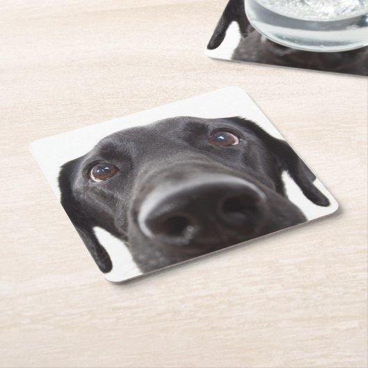 Schwarzes Labrador Closeup-Portrait Rechteckiger Pappuntersetzer (angewinkelt)