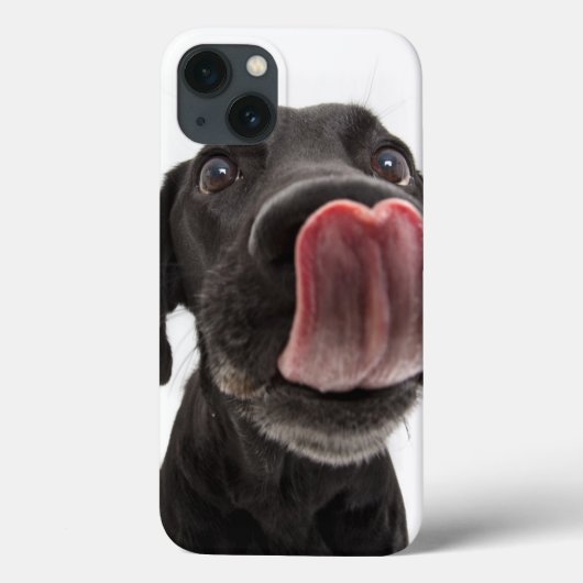 Schwarzes Labrador, das seine Nase leckt Case-Mate iPhone Hülle (Rückseite)
