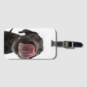 Schwarzes Labrador, das seine Nase leckt Gepäckanhänger (Vorderseite (Horizontal))