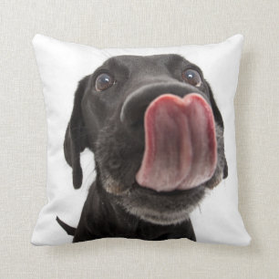 Schwarzes Labrador, das seine Nase leckt Kissen