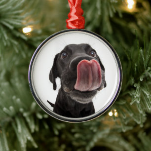 Schwarzes Labrador, das seine Nase leckt Ornament Aus Metall