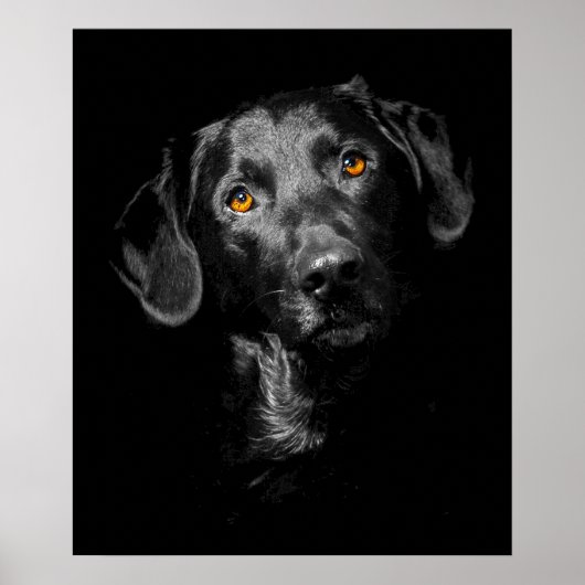 Schwarzes Labrador Dog Poster Canvas Print Inspira (Vorne)