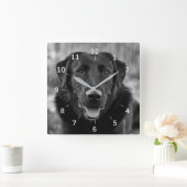 Schwarzes Labrador Foto Dog Square Wall Clock Quadratische Wanduhr (Zuhause)