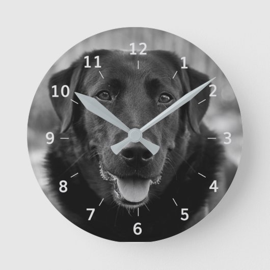 Schwarzes Labrador Foto Dog Square Wall Clock Runde Wanduhr (Vorderseite)