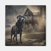 Schwarzes Labrador Halloween Beängstigend Magnet (Vorne)