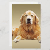 Schwarzes Labrador Hund Farbe Farbe Farbe Malerei Briefpapier (Vorne/Hinten)