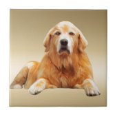 Schwarzes Labrador Hund Farbe Farbe Farbe Malerei Fliese (Vorderseite)