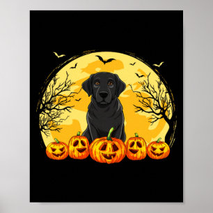 Schwarzes Labrador-Hund-Kürbisse-Halloween-Kostüm  Poster