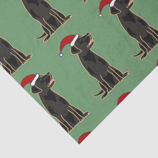 Schwarzes Labrador im Seidenpapier (Ausschnitt)