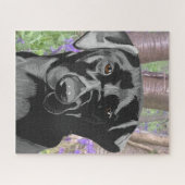 Schwarzes Labrador in Bluebell Wood Puzzle (Horizontal)