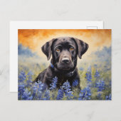 Schwarzes Labrador in Bluebonnets Postkarte (Vorne/Hinten)