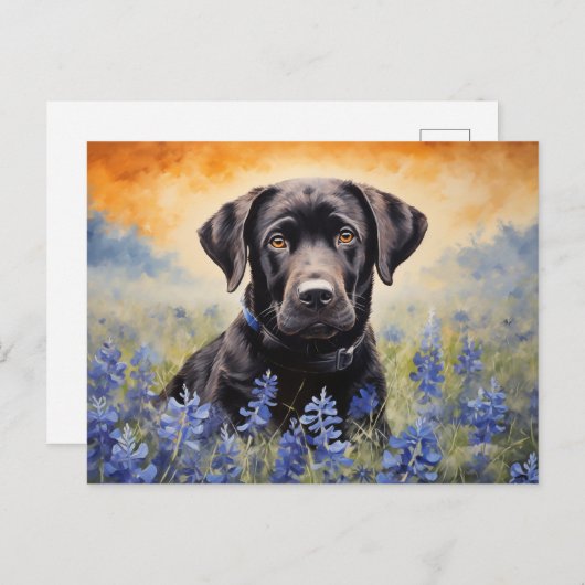 Schwarzes Labrador in Bluebonnets Postkarte (Vorne/Hinten)