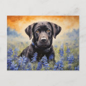 Schwarzes Labrador in Bluebonnets Postkarte (Vorderseite)
