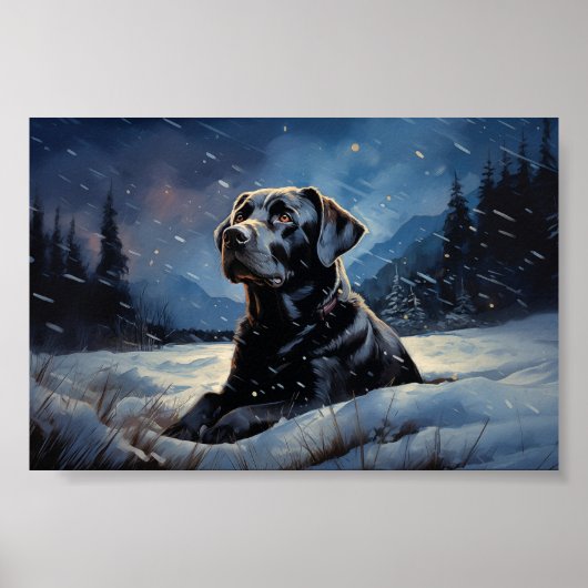 Schwarzes Labrador in der Winternacht Poster (Vorne)