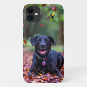 Schwarzes Labrador in Herbstlauben Case-Mate iPhone Hülle