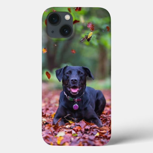 Schwarzes Labrador in Herbstlauben Case-Mate iPhone Hülle (Rückseite)