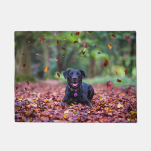 Schwarzes Labrador in Herbstlauben Fußmatte
