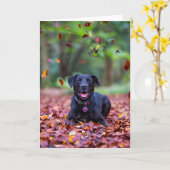 Schwarzes Labrador in Herbstlauben Karte (Gelbe Blume)