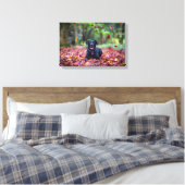 Schwarzes Labrador in Herbstlauben Leinwanddruck (Insitu (Schlafzimmer))