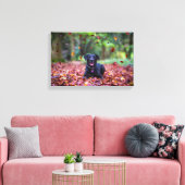 Schwarzes Labrador in Herbstlauben Leinwanddruck (Insitu (Wohnzimmer))