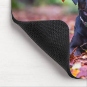 Schwarzes Labrador in Herbstlauben Mousepad (Ecke)