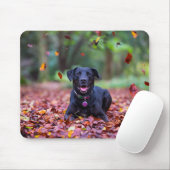 Schwarzes Labrador in Herbstlauben Mousepad (Mit Mouse)