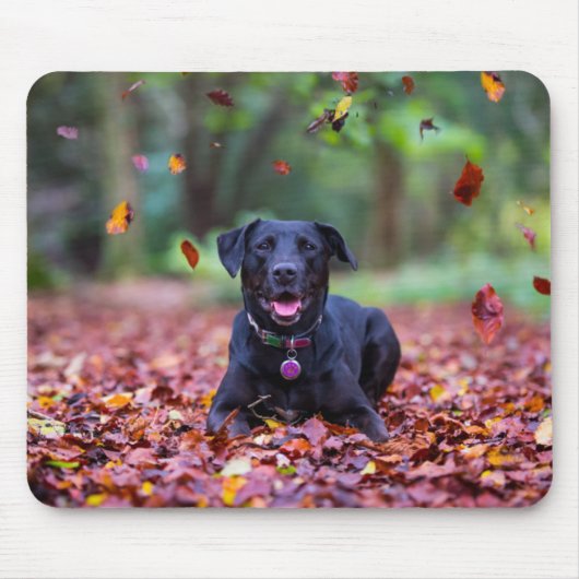 Schwarzes Labrador in Herbstlauben Mousepad (Vorne)