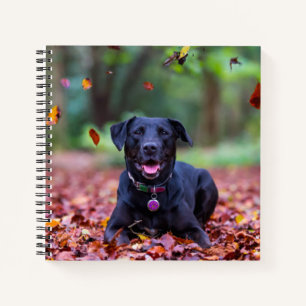 Schwarzes Labrador in Herbstlauben Notizblock