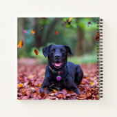 Schwarzes Labrador in Herbstlauben Notizblock (Rückseite)