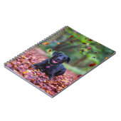 Schwarzes Labrador in Herbstlauben Notizblock (Linke Seite)