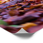 Schwarzes Labrador in Herbstlauben Poster (Ecke)