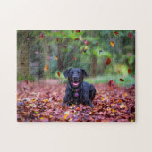 Schwarzes Labrador in Herbstlauben Puzzle (Horizontal)