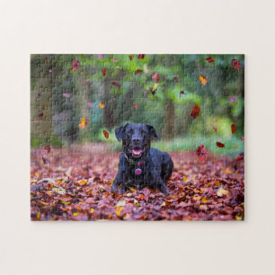 Schwarzes Labrador in Herbstlauben Puzzle