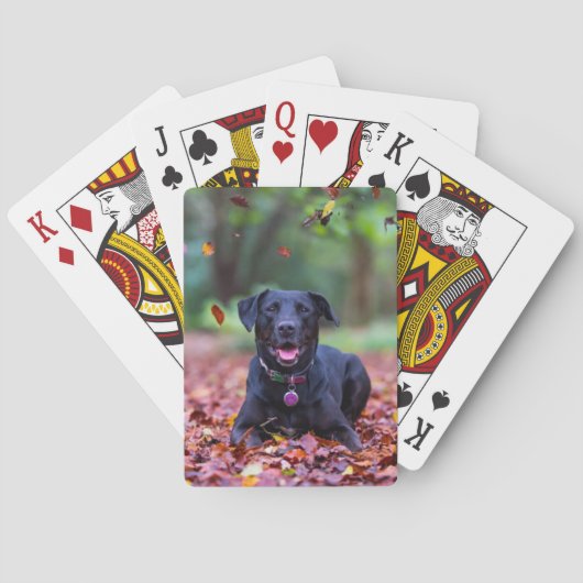 Schwarzes Labrador in Herbstlauben Spielkarten (Rückseite)