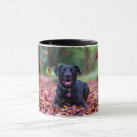 Schwarzes Labrador in Herbstlauben