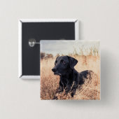 Schwarzes Labrador in trockenem Gras Button (Vorne & Hinten)