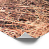 Schwarzes Labrador in trockenem Gras Poster (Ecke)