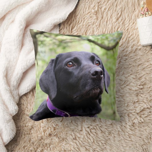 Schwarzes Labrador Kissen (Decke)