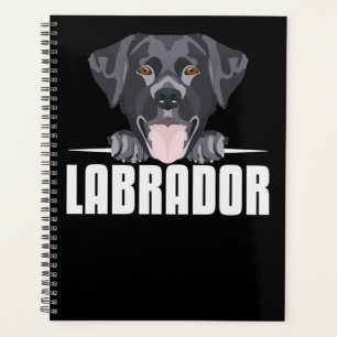 Schwarzes Labrador, Labrador Planer