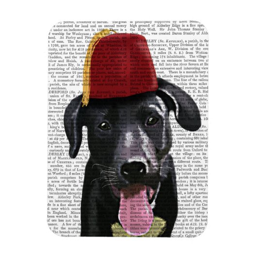 Schwarzes Labrador mit Fez Magnet (Vertikal)