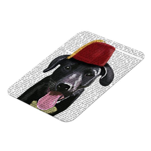 Schwarzes Labrador mit Fez Magnet (Linke Seite)
