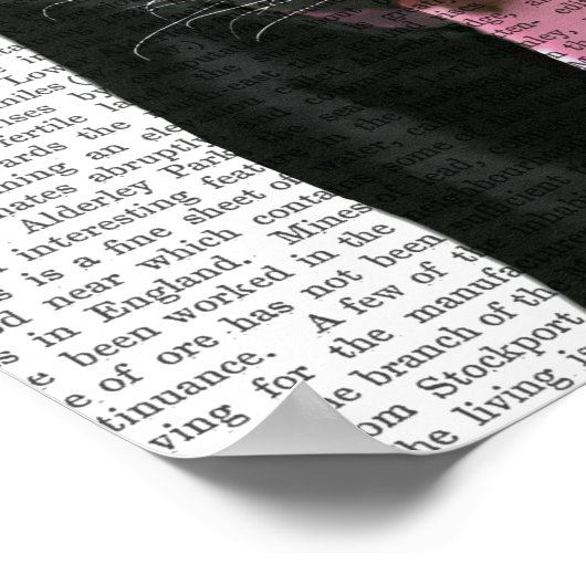 Schwarzes Labrador mit Fez Poster (Ecke)