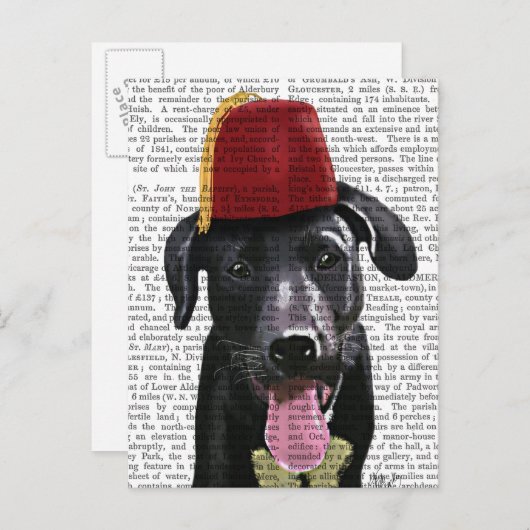 Schwarzes Labrador mit Fez Postkarte (Vorne/Hinten)
